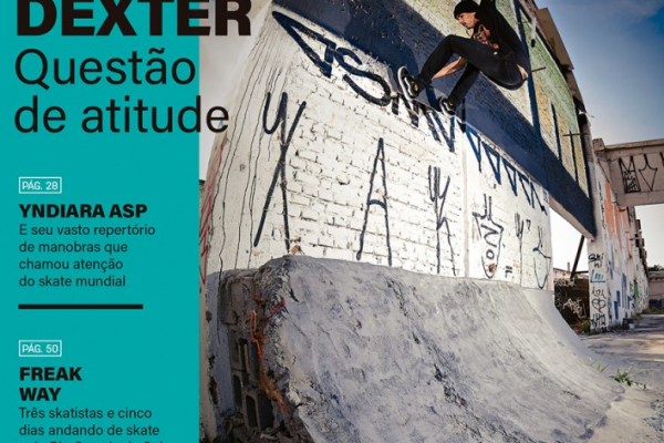 Tribo Skate 246, leia a edição on-line